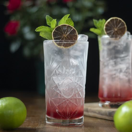 Cranberry Aquavit & Tonic
