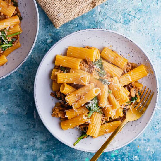 Pork Pasta with Dried Mushrooms