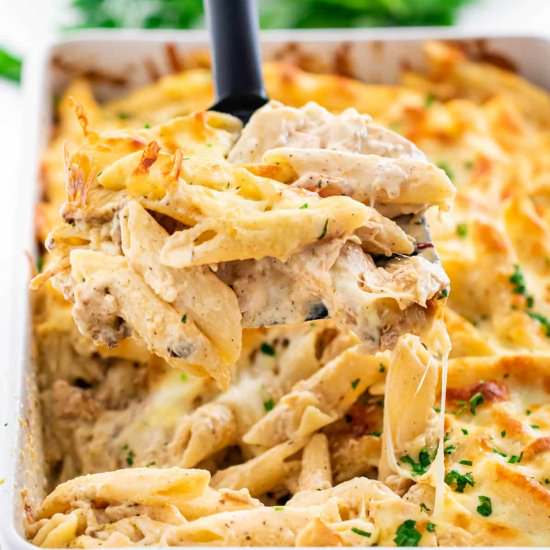Chicken Alfredo Bake