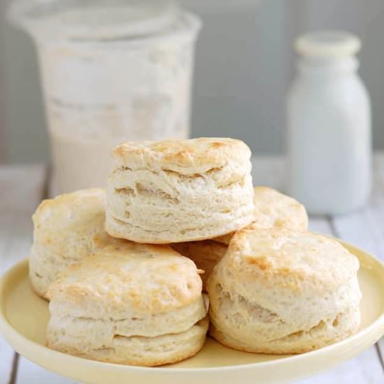 Recipes that use sourdough discard
