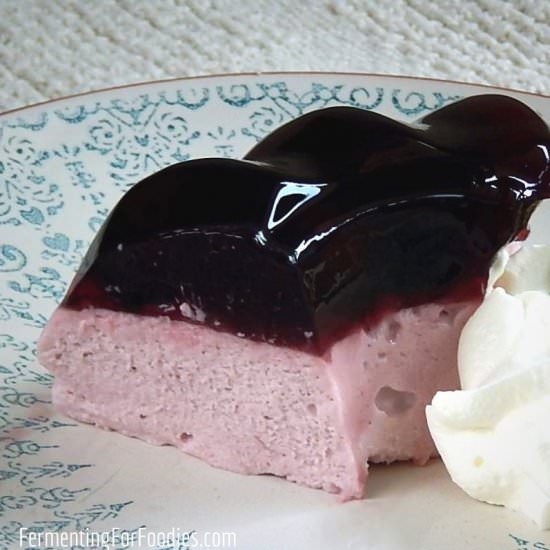 Healthy Homemade Fruit Juice Jello