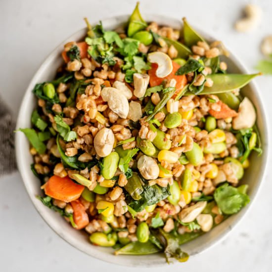 Fried Farro
