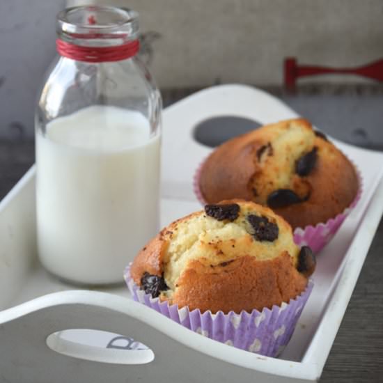 Ricotta and chocolate muffins