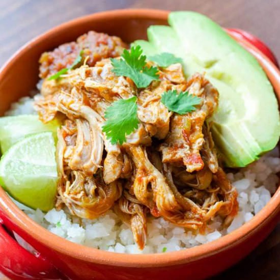 INSTANT POT SALSA CHICKEN