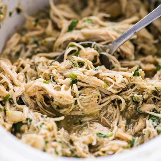 Salsa Verde Chicken
