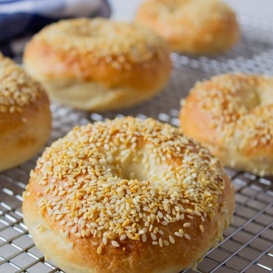Homemade Bagels