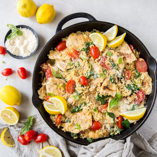 Lemon Chicken with Orzo