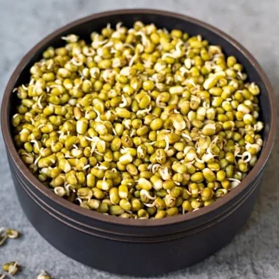 How to Sprout Lentils