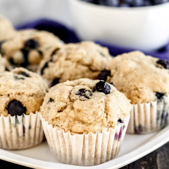Gluten-free Blueberry Muffins