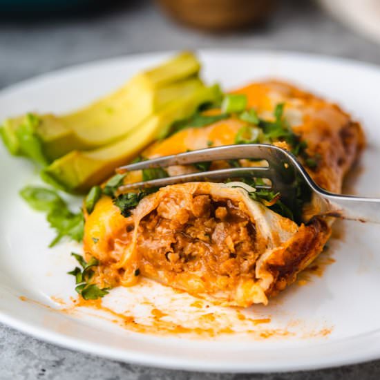 Vegetarian Enchiladas
