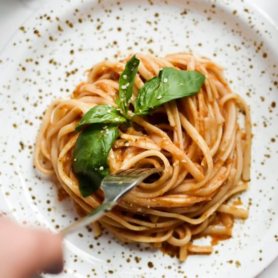 Hidden Vegetable Pasta Sauce