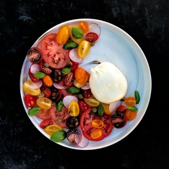 Medley of Tomato and Burrata Salad