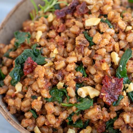 Farro with Sun-Dried Tomato Pesto