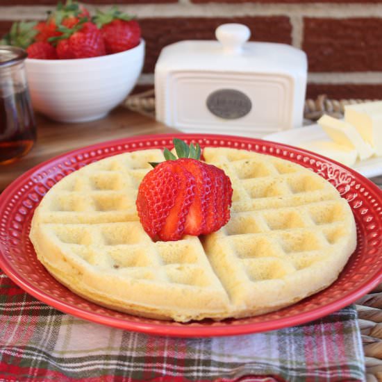 Gluten Free Waffles {Dairy Free}