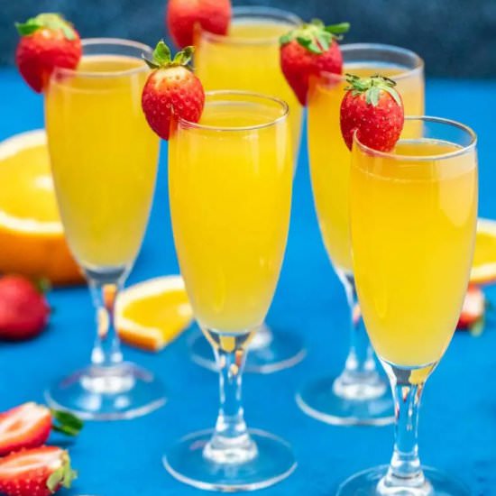 Mimosa