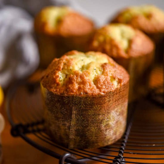 Lemon Poppy Seed Muffins