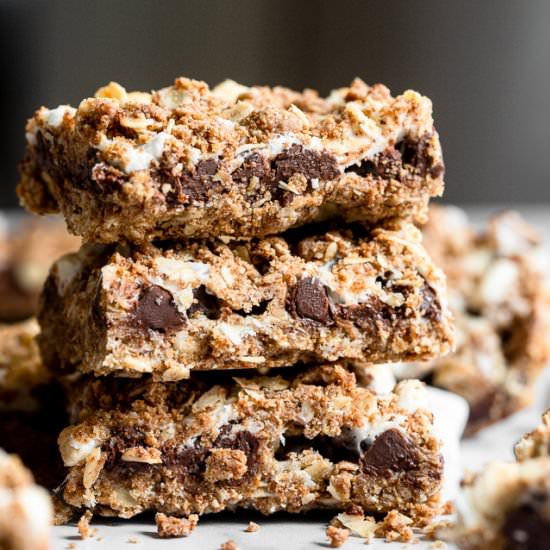 Chewy Chocolate Oat Squares
