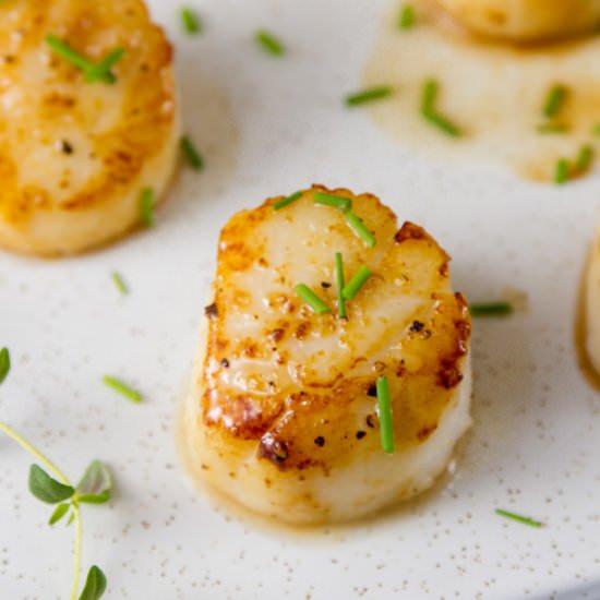Vanilla Dusted Scallops