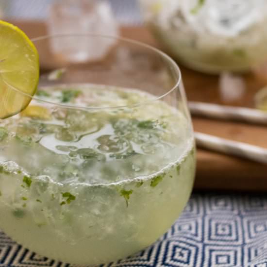 Sugar Free Mojito Mocktail
