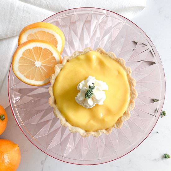 Meyer Lemon White Chocolate Tarts