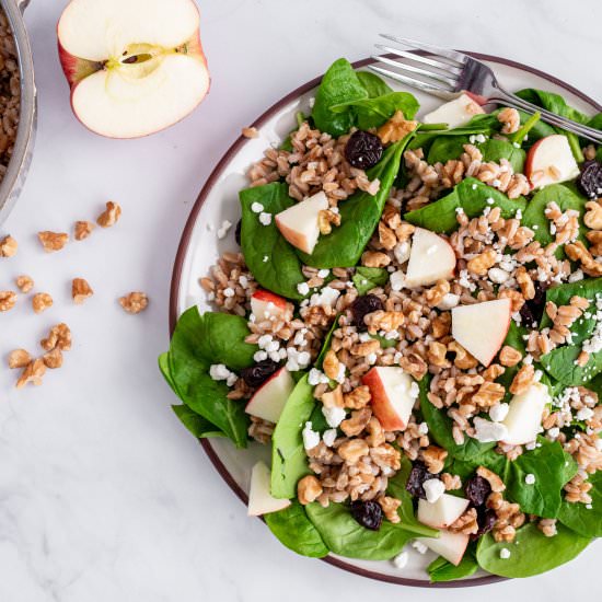 Farro Apple and Walnut Salad