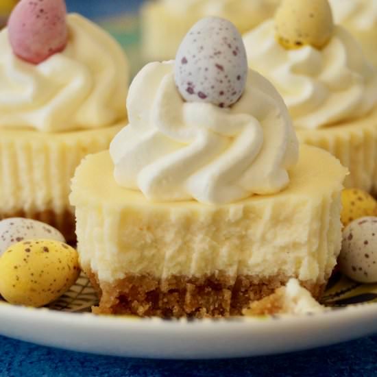 Mini cheesecakes