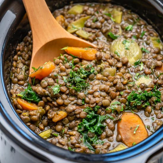 VEGAN LENTIL SOUP