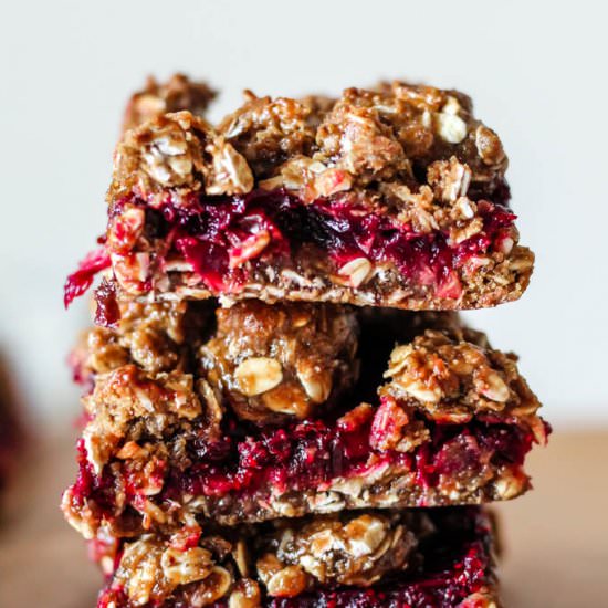 Healthy Cranberry Oatmeal Squares