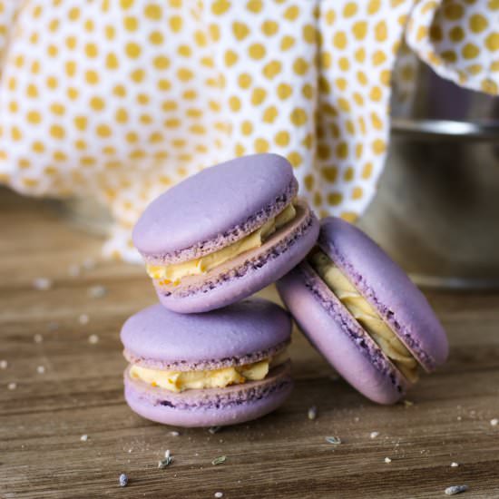 Lavender and Honey Macarons