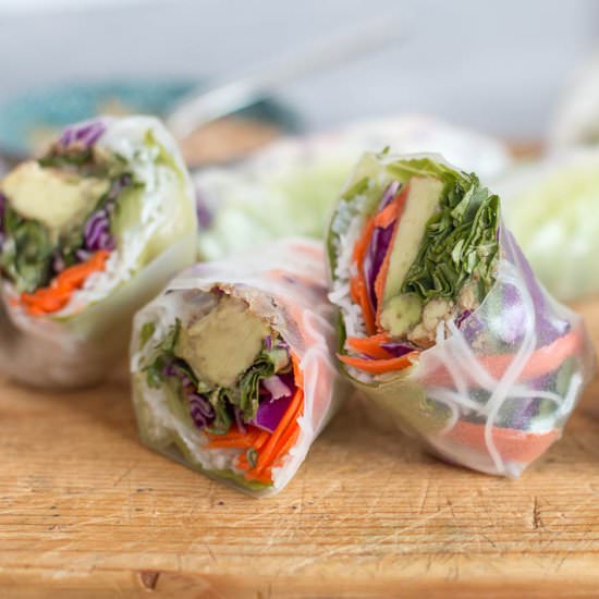 Fresh Vegetable Spring Rolls