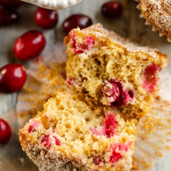 Cranberry Streusel Muffins