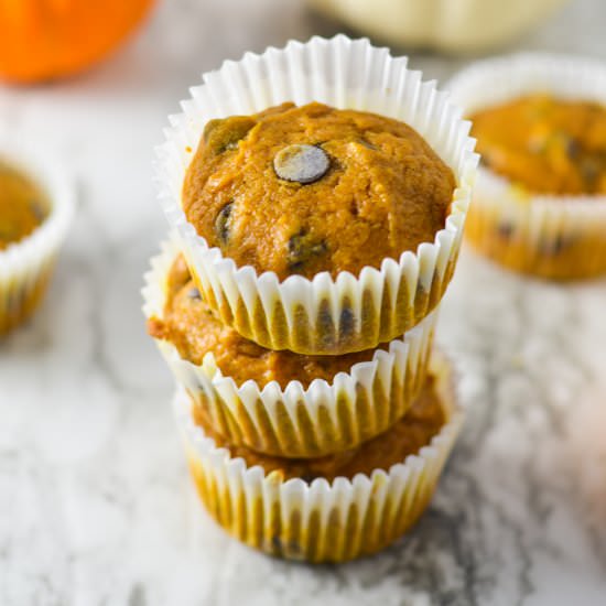 Pumpkin Chocolate Chip Muffins