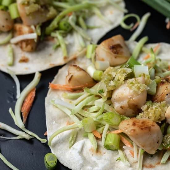 Scallop Tacos & Scallion Sauce