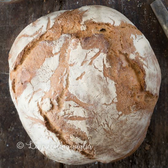 Italian bread