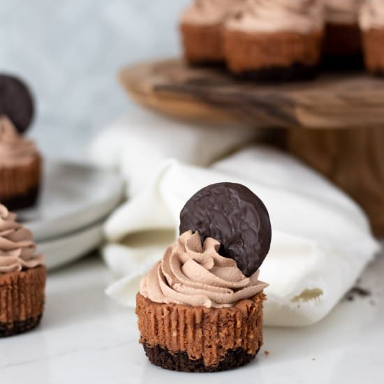 Mini Chocolate Cheesecakes