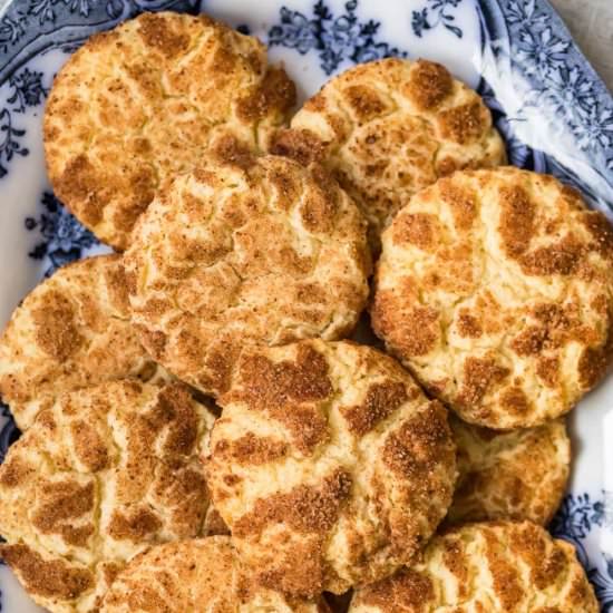 Best Snickerdoodle Recipe!