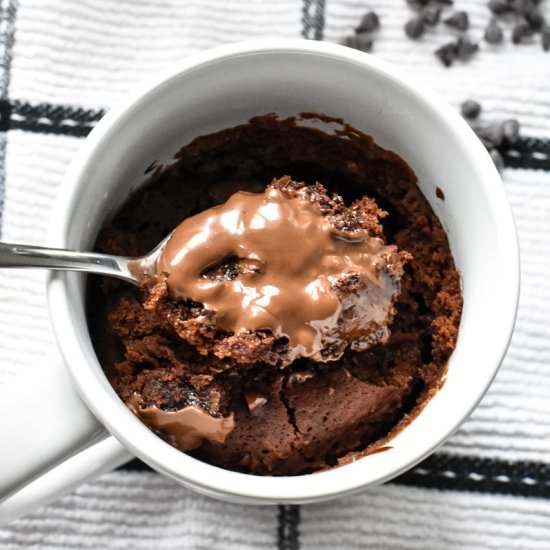 The Best Chocolate Mug Cake