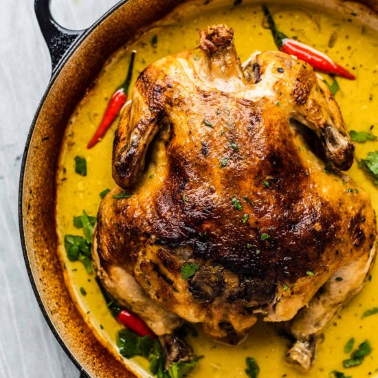 Coconut Milk Braised Chicken