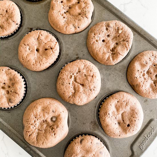 Low Carb Chocolate Chip Muffins