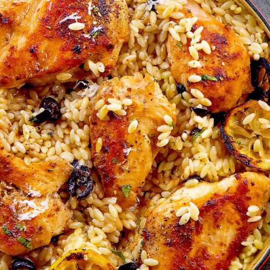 Chicken and orzo