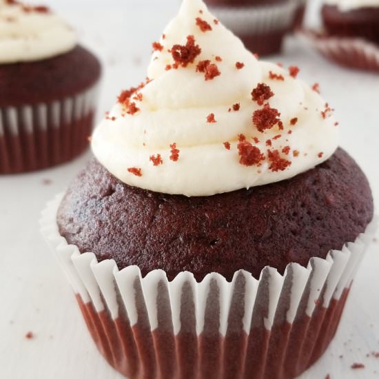 one bowl chocolate cupcakes
