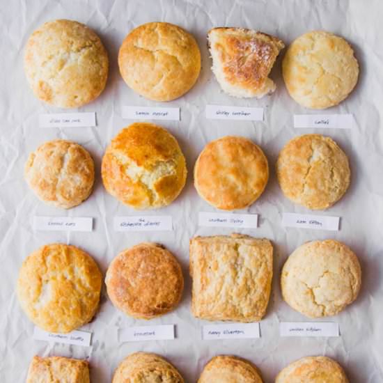 Best Biscuit Bake Off