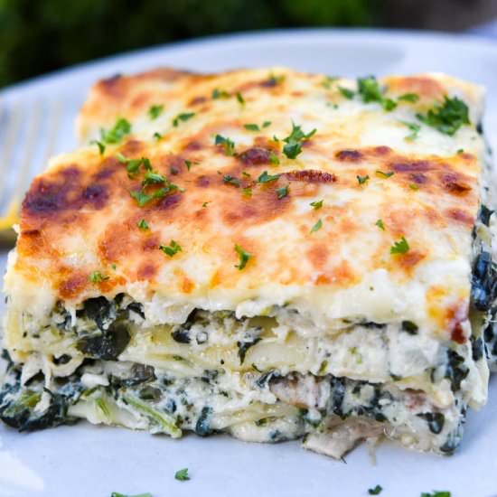 Chicken Lasagna