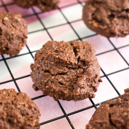 Healthy oatmeal cocoa cookies