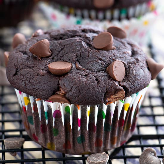 Vegan Double Chocolate Muffins