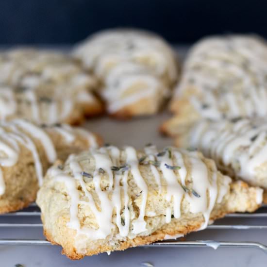 Lavender Vanilla Scones