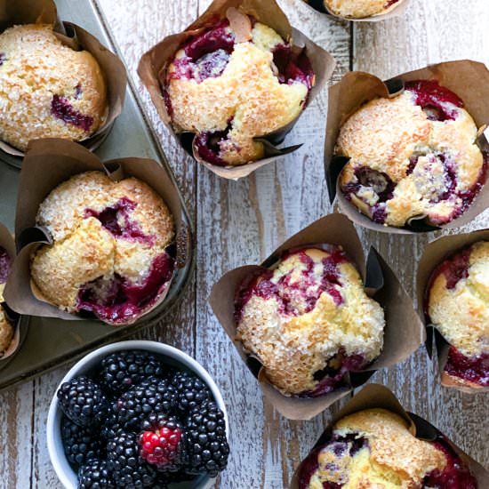 Blackberry Muffins