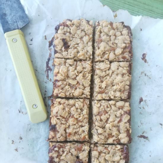 Dulce de leche oat bars