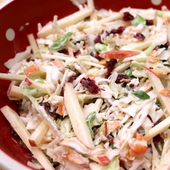 Sweet Cranberry Apple Coleslaw