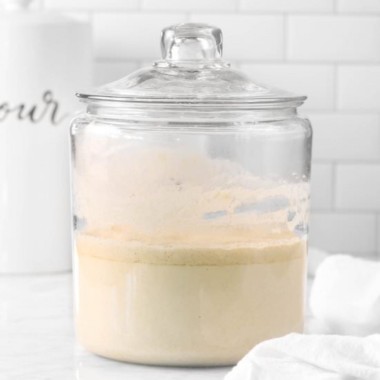 How To Make a Sourdough Starter